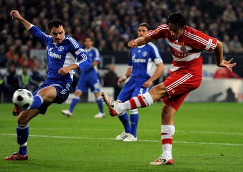 许多网友纷 许多网友纷